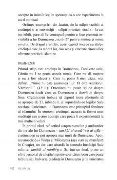 Islamul. Principii, ritualuri, evolutie, provocari