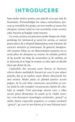 De ce iubim pisicile