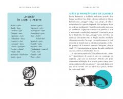 De ce iubim pisicile