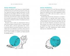 De ce iubim pisicile