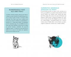 De ce iubim pisicile