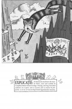 Vestita invazie a ursilor in Sicilia