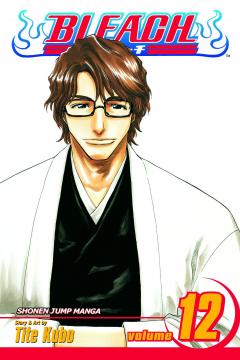 Bleach - Volume 12