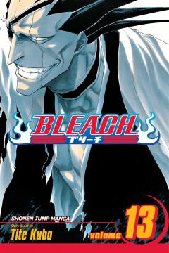 Bleach - Volume 13