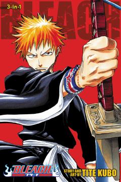 Bleach (3-in-1 Edition) - Volume 1