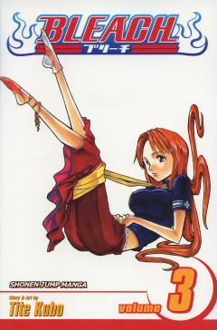 Bleach - Volume 3
