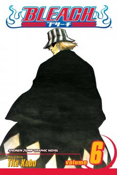 Bleach - Volume 6