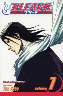 Bleach - Volume 7