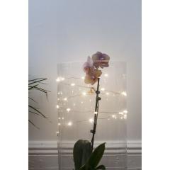 Ghirlanda de luminite - Copper String