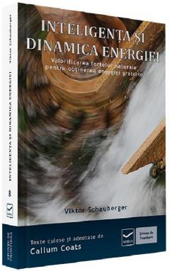 Inteligenta si dinamica energiei