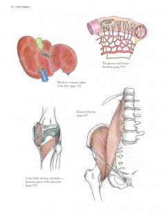 Complete Anatomy Coloring Book