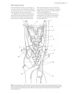 Complete Anatomy Coloring Book