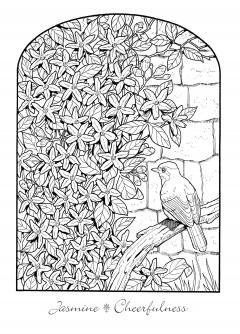 Creative Haven The Beautiful Language of Flowers Coloring Book