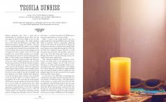 The Curious Bartender - Volume 2