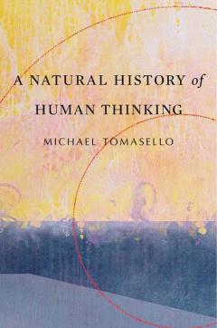 Natural History of Human Thinking
