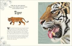 An Anthology of Intriguing Animals