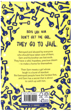 The Boy Who Steals Houses