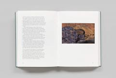 Fazal Sheik: Human Archipelago