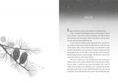 A Wolf Called Wander