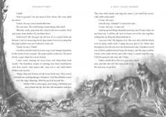 A Wolf Called Wander