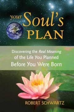 Your Soul's Plan