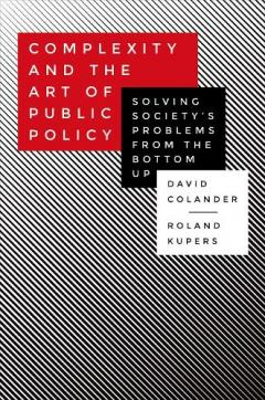 Complexity and the Art of Public Policy