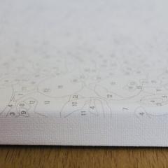 Set pictura pe numere - Iepurila