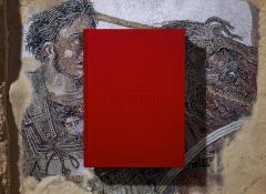 Fausto & Felice Niccolini. The Houses and Monuments of Pompeii