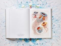 The Art and Science of Ernst Haeckel