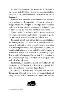 Actioneaza si gandeste ca o pisica. Volumul II