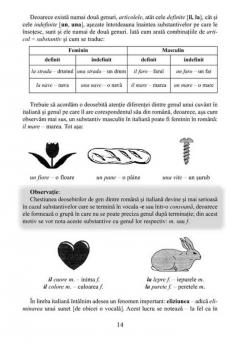 Limba italiana fara profesor