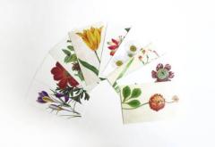 100 Flowers from the RHS - pret pe bucata