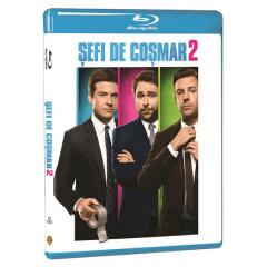 Sefi de cosmar 2 / Horrible Bosses 2