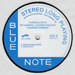 Vanished Gardens - Vinyl