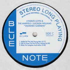 Vanished Gardens - Vinyl