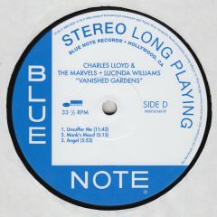 Vanished Gardens - Vinyl