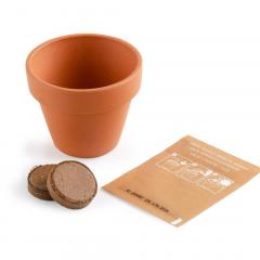 Kit de plantat - Pin, editie de Craciun