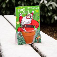 Kit de plantat - Pin, editie de Craciun