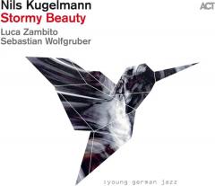 Stormy Beauty - Vinyl