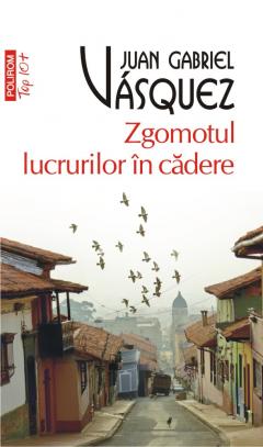 Zgomotul lucrurilor in cadere