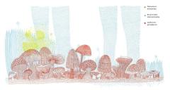 What's Hidden in the Woods?