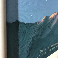 Tablou panza - Tiger