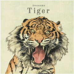 Tablou panza - Tiger