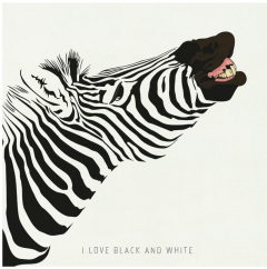 Tablou panza - Zebra