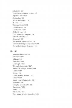 Opera poetica. Volumul II