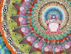 Was bisher verloren war