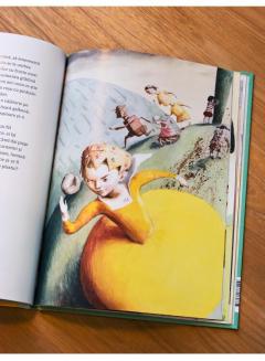 Gradina pamanteana a Printesei de Marti