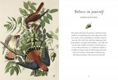 The Wisdom of Birds