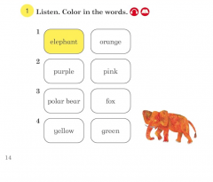 What Color Is the Donkey?