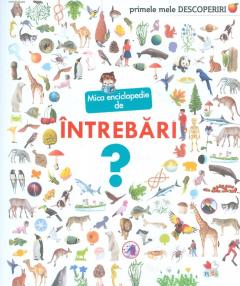 Mica enciclopedie de intrebari